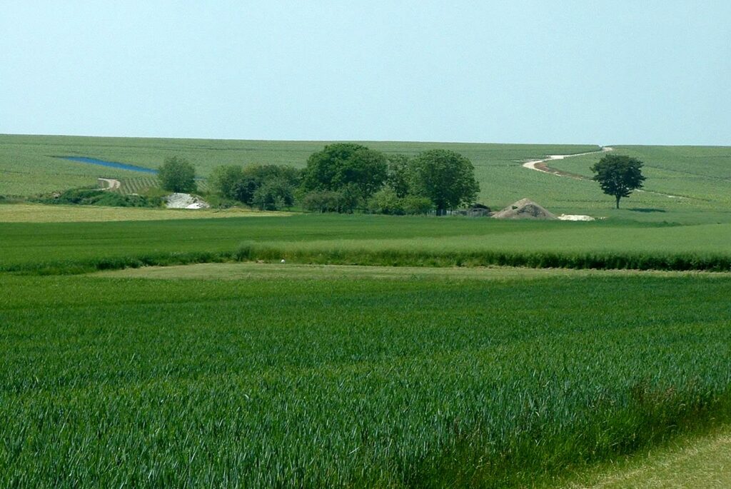 Navigation Bouzy – Sommevoire, 28 mai 2005